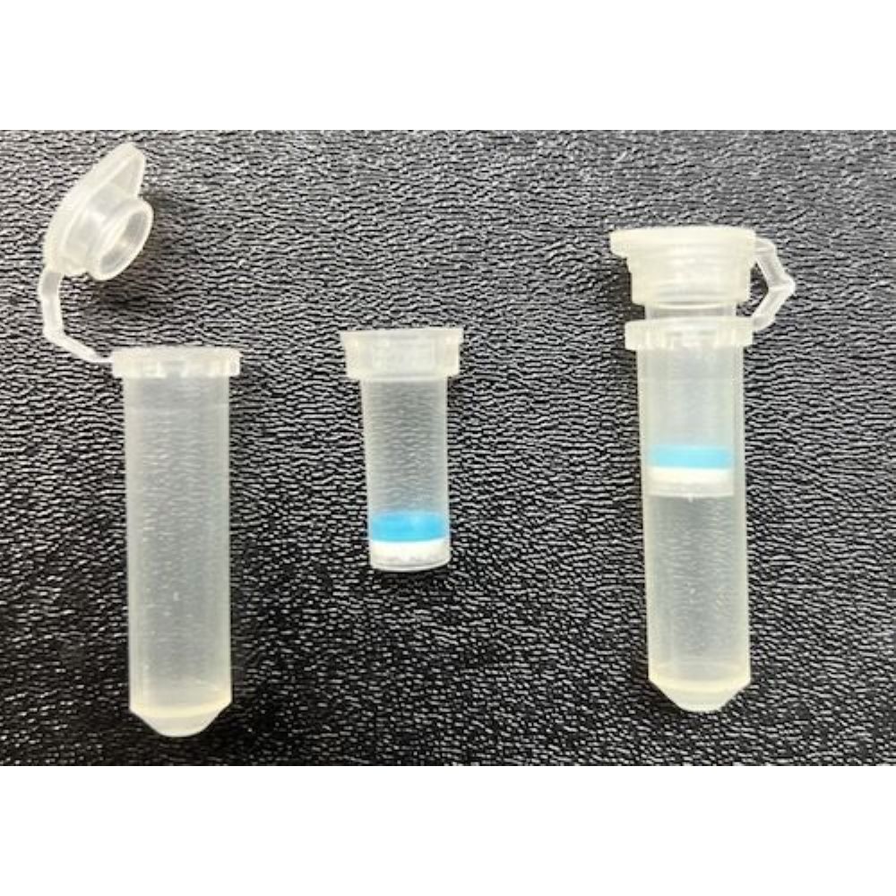 DNA/RNA Spin Filtre ve Toplama Tüpü - labmarket.com.tr